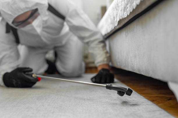 Professional Bed Bug Control technician working in Lucas, TX